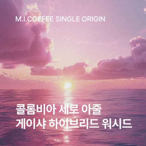 콜롬비아 세로 아줄 게이샤 하이브리드 워시드 200g