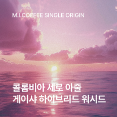 콜롬비아 세로 아줄 게이샤 하이브리드 워시드 200g