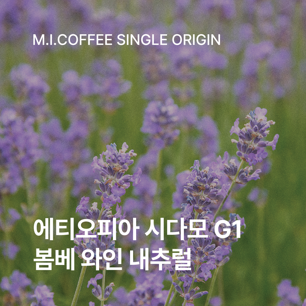 에티오피아 시다모 G1 봄베 와인 내추럴 200g