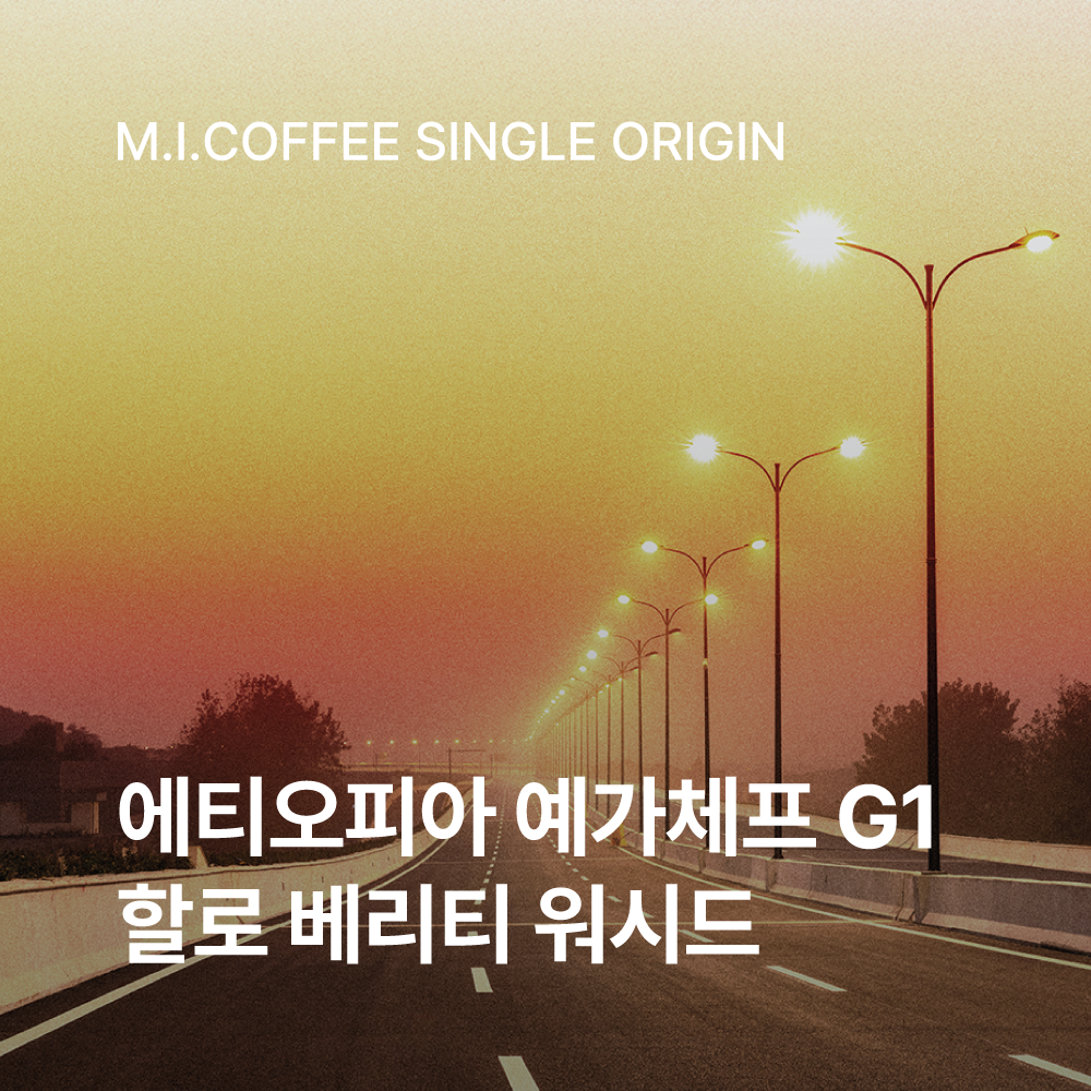 에티오피아 예가체프 G1 할로 베리티 워시드 200g