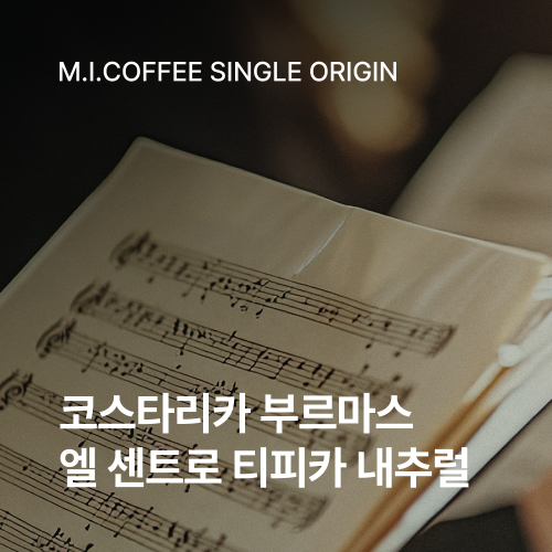 코스타리카 부르마스 엘 센트로 티피카 내추럴 200g