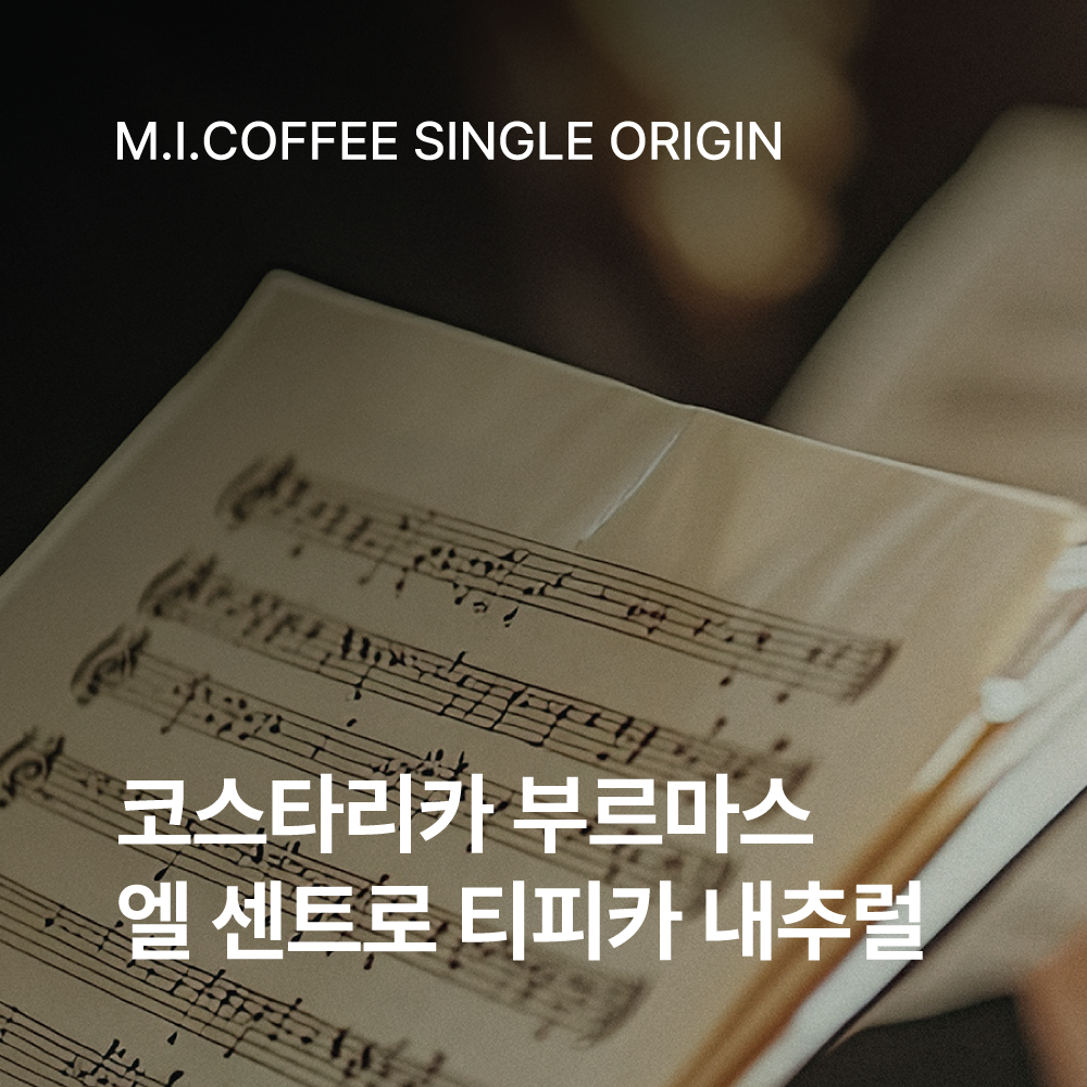 코스타리카 부르마스 엘 센트로 티피카 내추럴 200g