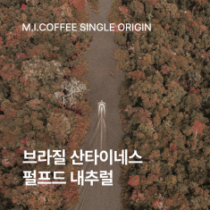 브라질 산타이네스 펄프드 내추럴 200g