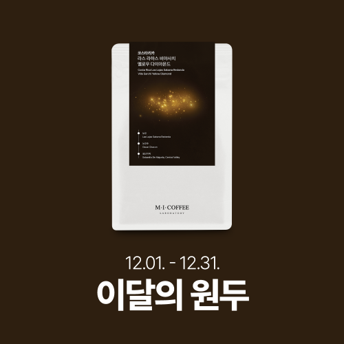 ★12월의 커피 10% 할인★코스타리카 라스 라하스 비야사치 옐로우 다이아몬드 200g