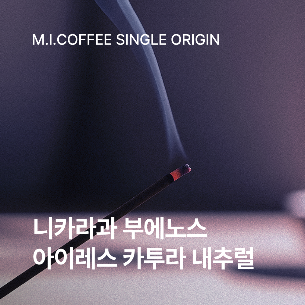 니카라과 부에노스 아이레스 카투라 내추럴 200g