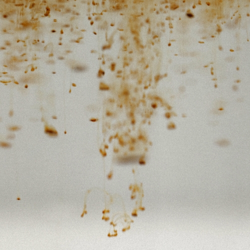 동결건조 파우더 커피 엠아이커피 싱글오리진 명절 선물 세트