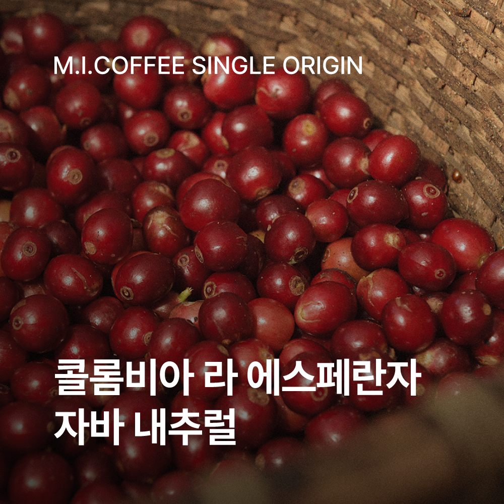 콜롬비아 라 에스페란자 자바 내추럴 200g