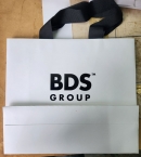 비디에스-로고백