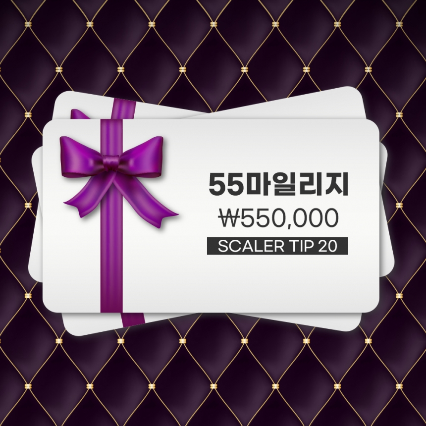 55 마일리지 [스켈러팁 20개 증정]