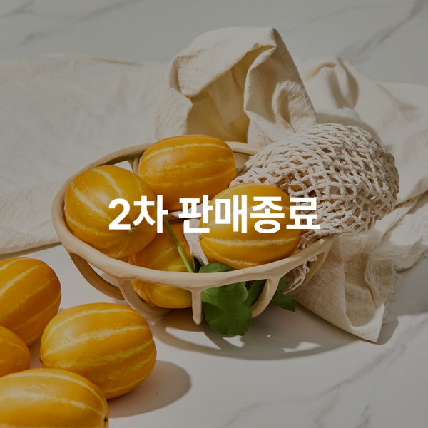 [앵콜][산지직송][공동구매] 성주 용암 꿀참외 3kg 내외 (15Brix 이상/로얄과)