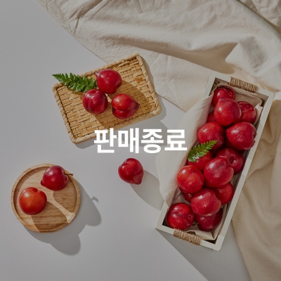 [산지직송][공동구매] 새콤달콤 도담자두 2kg 내외 (14Brix 이상/1box)