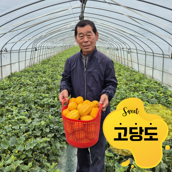 [공동구매] 15brix 고당도 성주 용암 꿀참외 2kg (10~13개입)