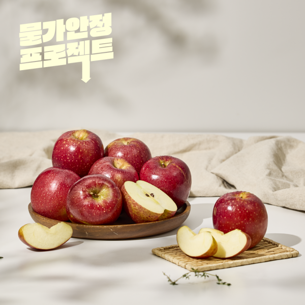 [특가] 고당도 안동 사과 2kg / 4kg