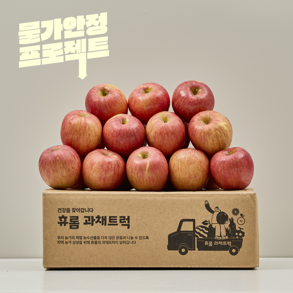 [특가] 고당도 안동 사과 2kg / 4kg