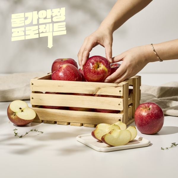 [특가] 고당도 안동 사과 2kg / 4kg