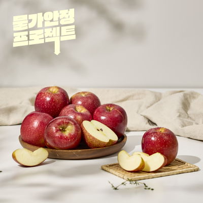 [특가] 고당도 안동 사과 2kg / 4kg