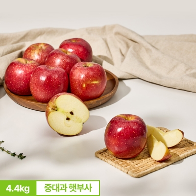고당도 경북 부사 꿀 햇사과 4.4kg