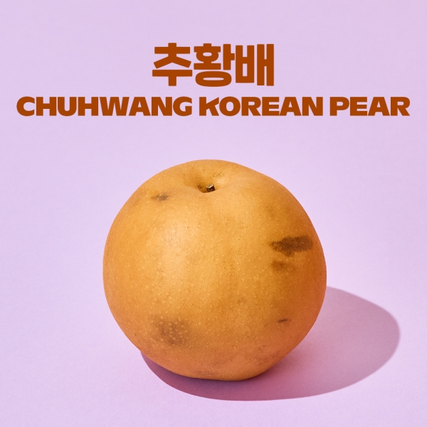 압도적 당도 나주 햇 추황 배 5~7.5kg