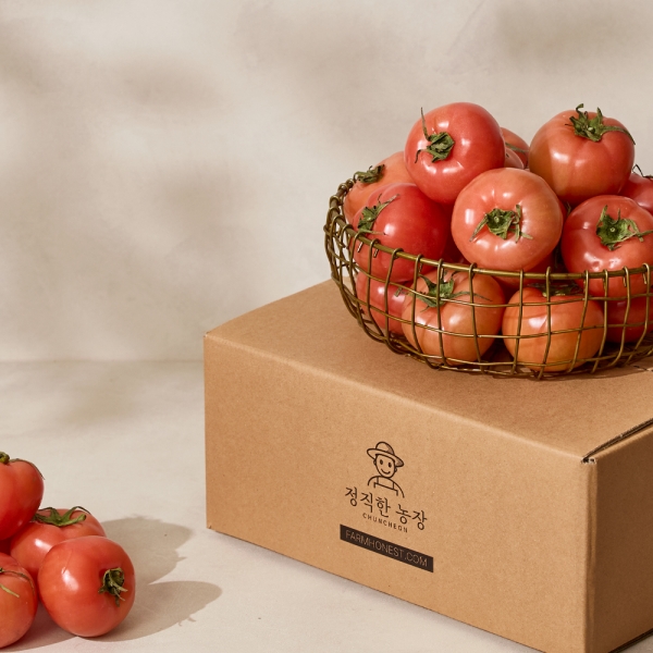 당일수확 동양종 완숙 찰토마토 3~5kg