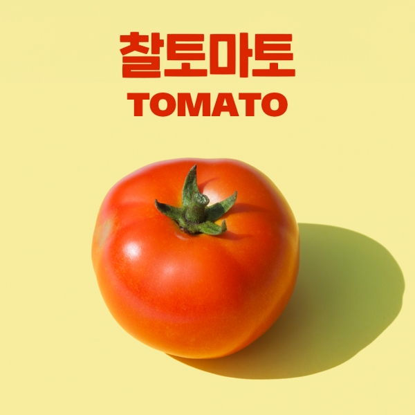 당일수확 동양종 완숙 찰토마토 3~5kg