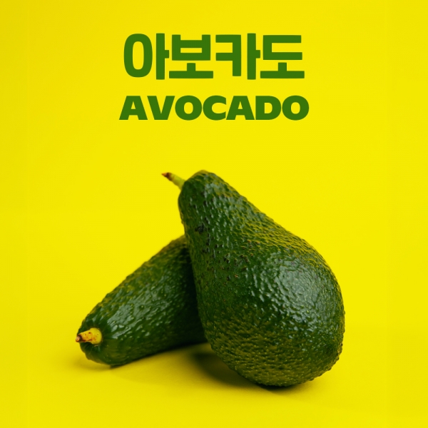 프리미엄 하스 아보카도 2~3.5kg