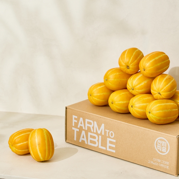 고당도 성주 꿀 참외 2~5kg (정품/가정용)