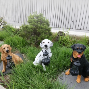 테리 강아지 태양광 야외 정원 테라스 조명