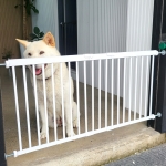 방가 창문 베란다 난간 강아지 고양이 발코니 펀치프리