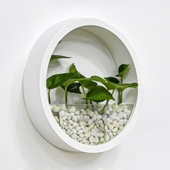 자이라 벽걸이화분 인테리어 다육식물 수경재배 걸이형 화분