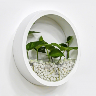 자이라 벽걸이화분 인테리어 다육식물 수경재배 걸이형 화분