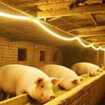 앰킬라 모기퇴치 LED 줄조명 실외 정원 테라스 캠핑 라인조명