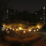 벨베스 앵두 전구 6m 추가 부품