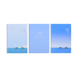 2500 IV SP노트_독도(좌철/항균)