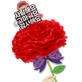 마음 담은 대왕 카네이션