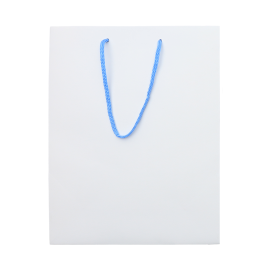 2500 컬러 쇼핑백(290x100x385mm)