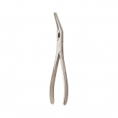 [홍재] 애쉬 포셉 Asch Forceps