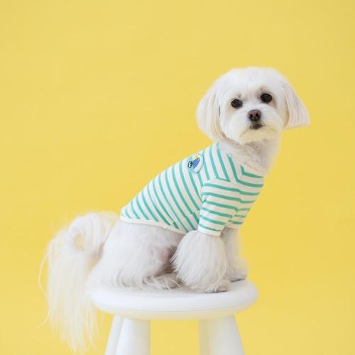 펫츠랜드 버디즈티셔츠 와펜 2 color S-2XL