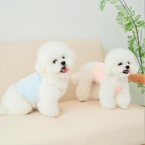펫츠랜드 멜론크롭나시티 3 color S-2XL