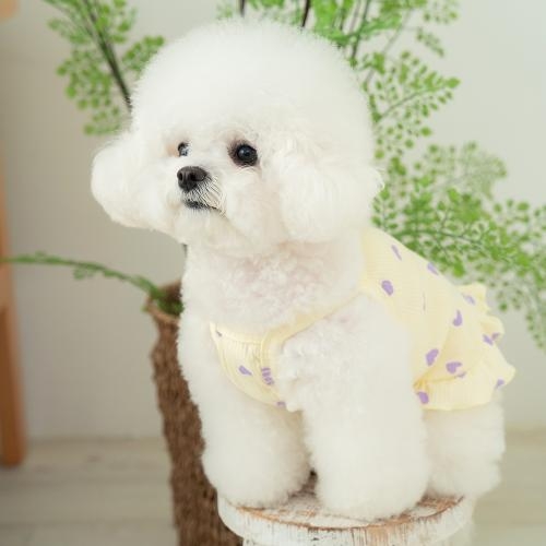 펫츠랜드 러브프릴나시티 3 color S-2XL