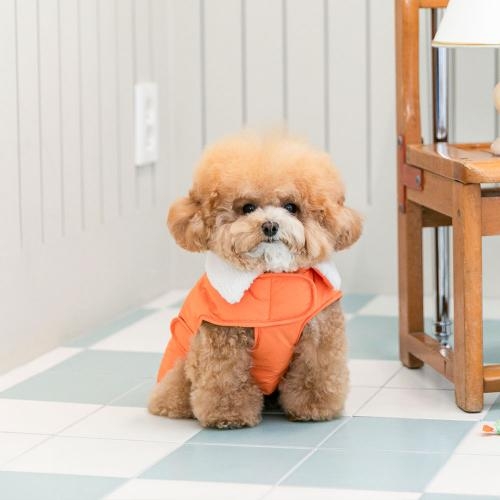펫츠랜드 모던케이프패딩 2 color S-2XL