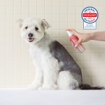 이눔 펫 미스트