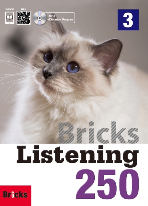 Bricks Listening 250 3