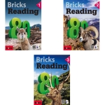 Bricks Reading 80 구매