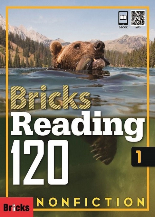Bricks Reading 120 1