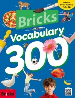 Bricks Vocabulary 300