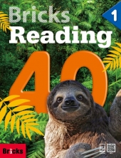 Bricks Reading 40 1