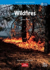 Wildfires