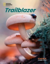 Trailblazer Starter A