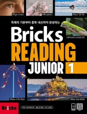 Bricks Reading Junior 1