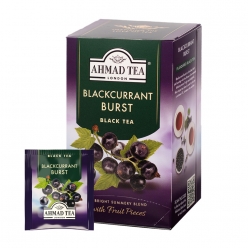 블랙커런트 버스트 홍차 20티백